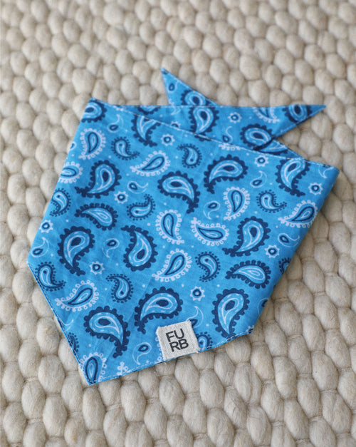 Classic blue paisley dog bandana with vintage print – ideal for Cocker Spaniels or medium-sized dogs