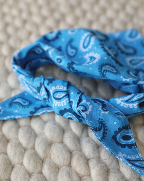 Western-style paisley dog bandana in blue, great for Beagles or other medium breeds