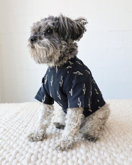 Lightning bolt detail pops on comfy dog tee