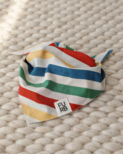 Beach Blanket Bingo Multi Striped Dog Bandana