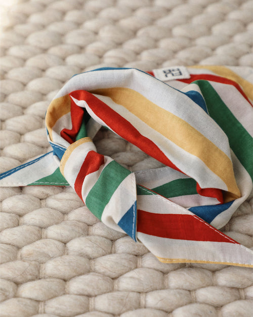 Beach Blanket Bingo Multi Striped Dog Bandana