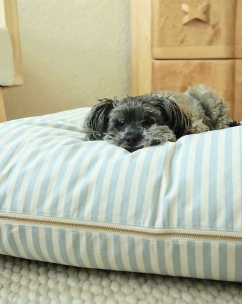 Cozy top-down view of Capri blue striped dog bed showcasing cushioned comfort for pets.