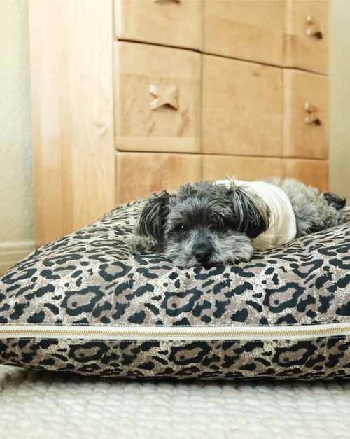 Top view of Sarabi leopard print dog bed showing plush cushioned interior for pet comfort.