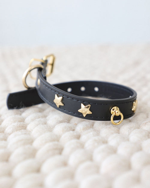 Close-up of black leather dog collar showing star stud details and fine stitching