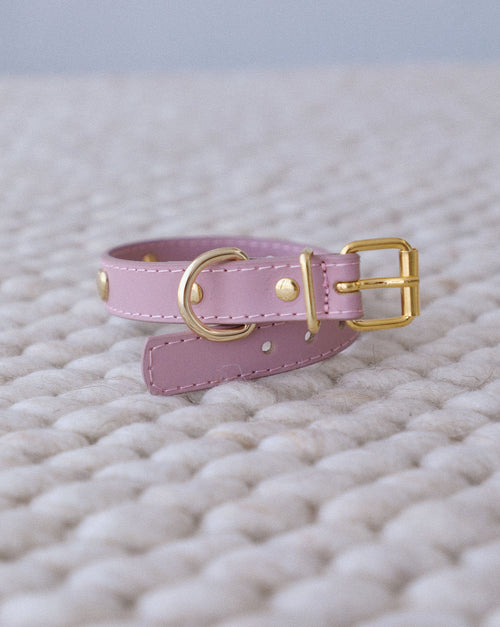 Close-up of mauve leather dog collar with heart studs, showing quality craftsmanship