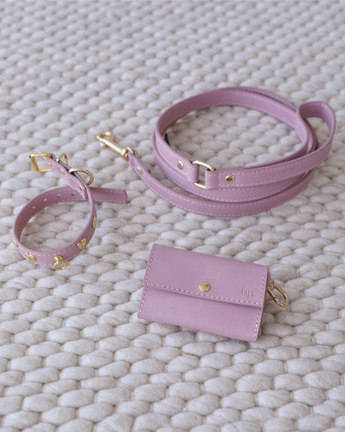 Nara mauve leather studded dog collar and leash kit, stylish and secure for small dogs, premium quality leather