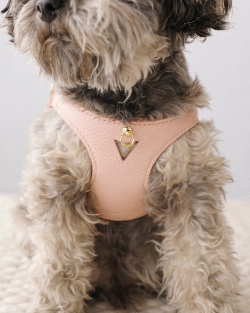 Luca Light Pink Leather Dog Harness