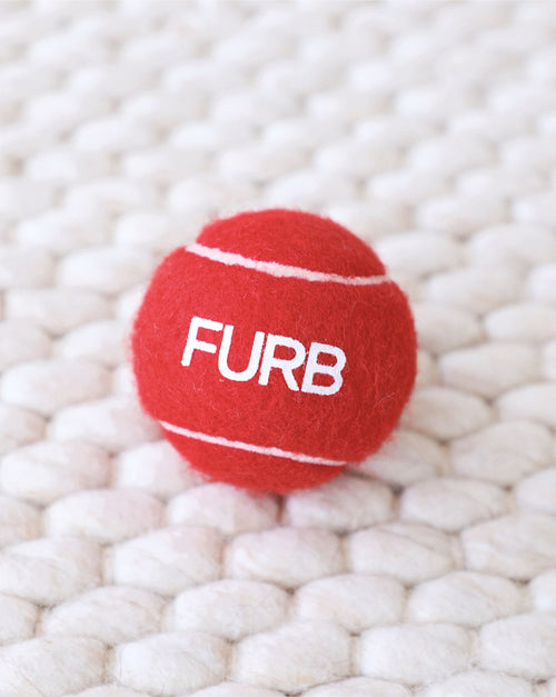 Bright red dog tennis ball for active play and fetch games.