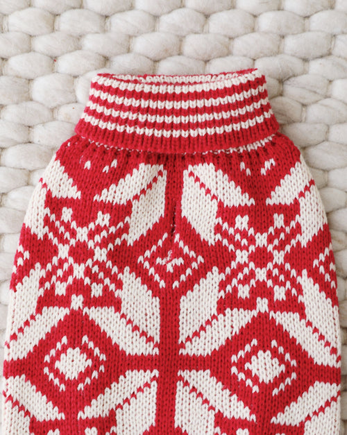 Small dog in holiday knit sweater with Santa Paws theme.