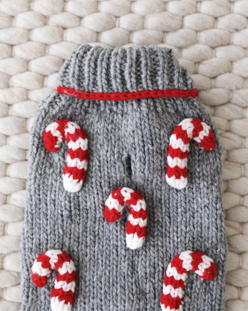 Small dog wearing red and white striped holiday knit sweater.