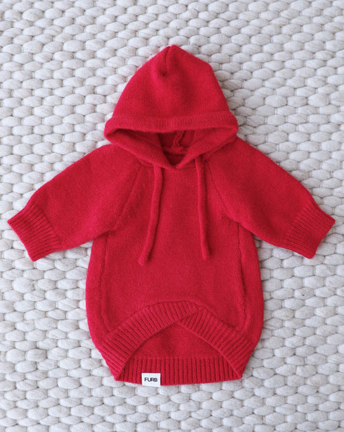 Red varsity-style dog hoodie with sporty design for small to medium dogs.