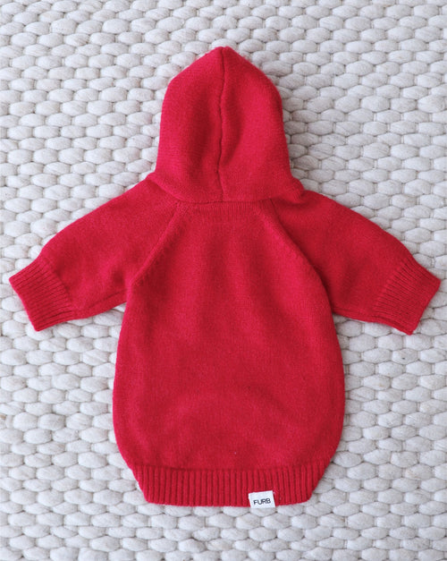 Dog wearing bright red varsity hoodie, perfect for casual outdoor fun.