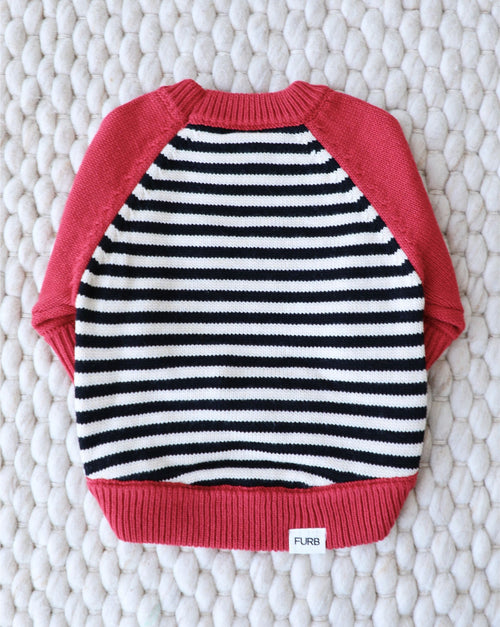 Bookworm Red Colorblock Sweater