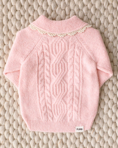 Tea Time Cable Knit Dog Sweater