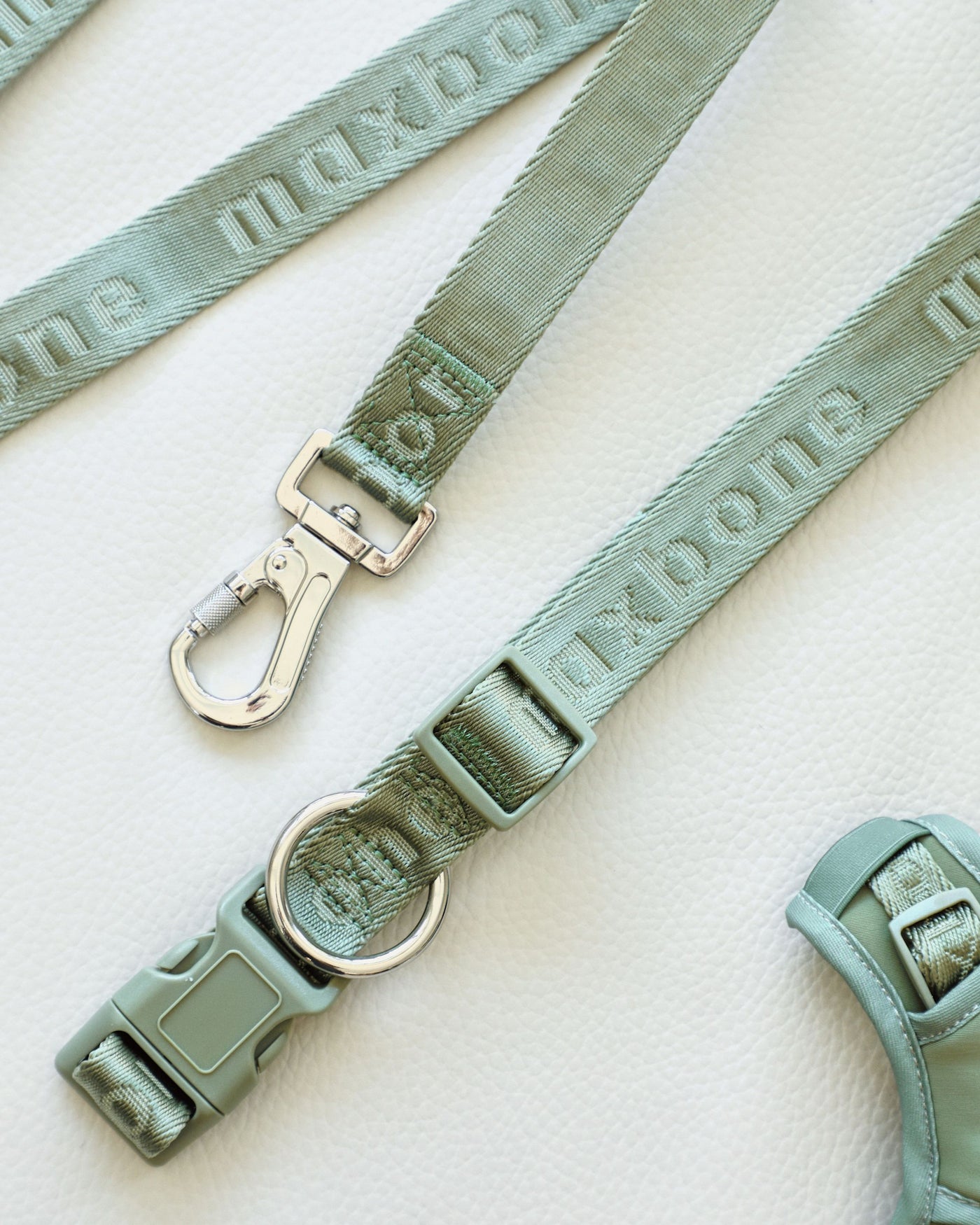 sage green nylon dog leash by maxbone with silver metal hardware and coordinate sage green plastic buckle