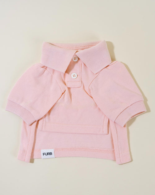 Pink Dog Polo. Chihuahua in pink shirt.