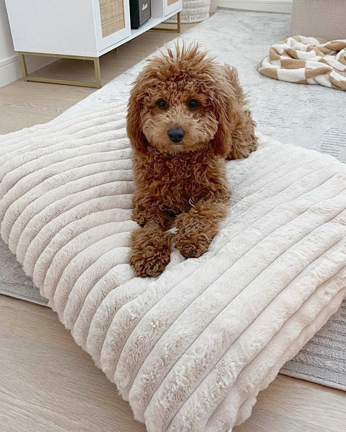 Coronado Ivory Faux Fur Dog Bed
