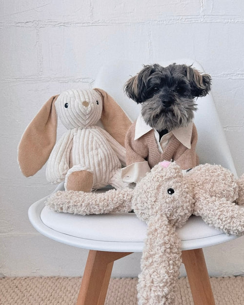 Hoppy Day Bunny Dog Toy