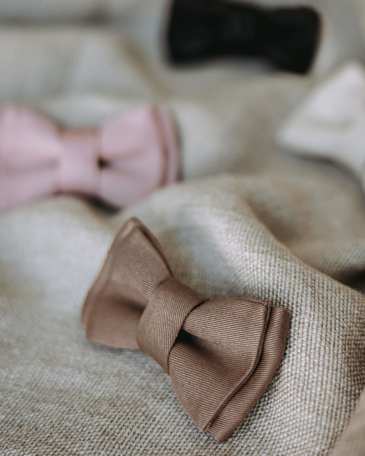 Walk of the Town Fawn Bow Tie Image