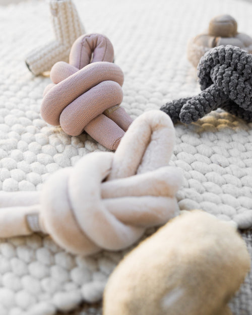 Lola Squeaker Toy in Pink