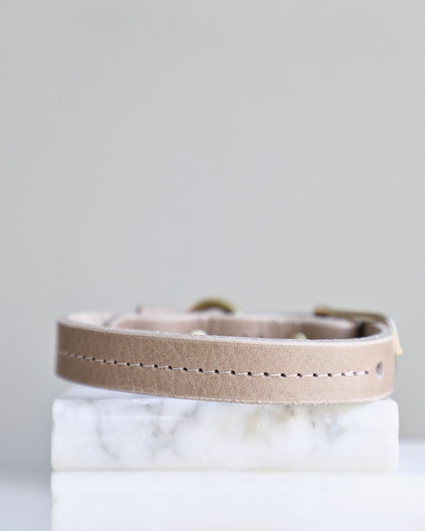 Back of taupe leather dog collar with close up of stitching