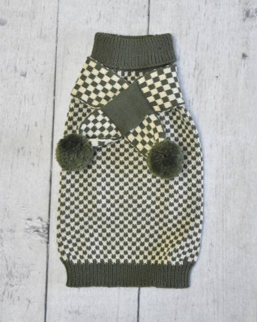 Small dog wearing green scarf, cozy knit for cold weather walks.