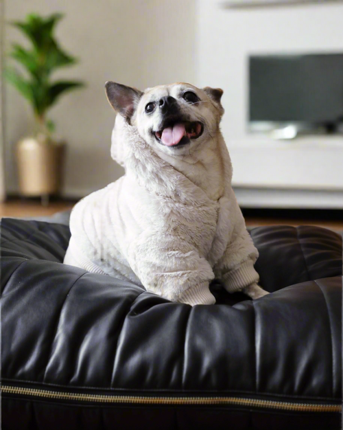 Jagger Black Vegan Leather Dog Bed