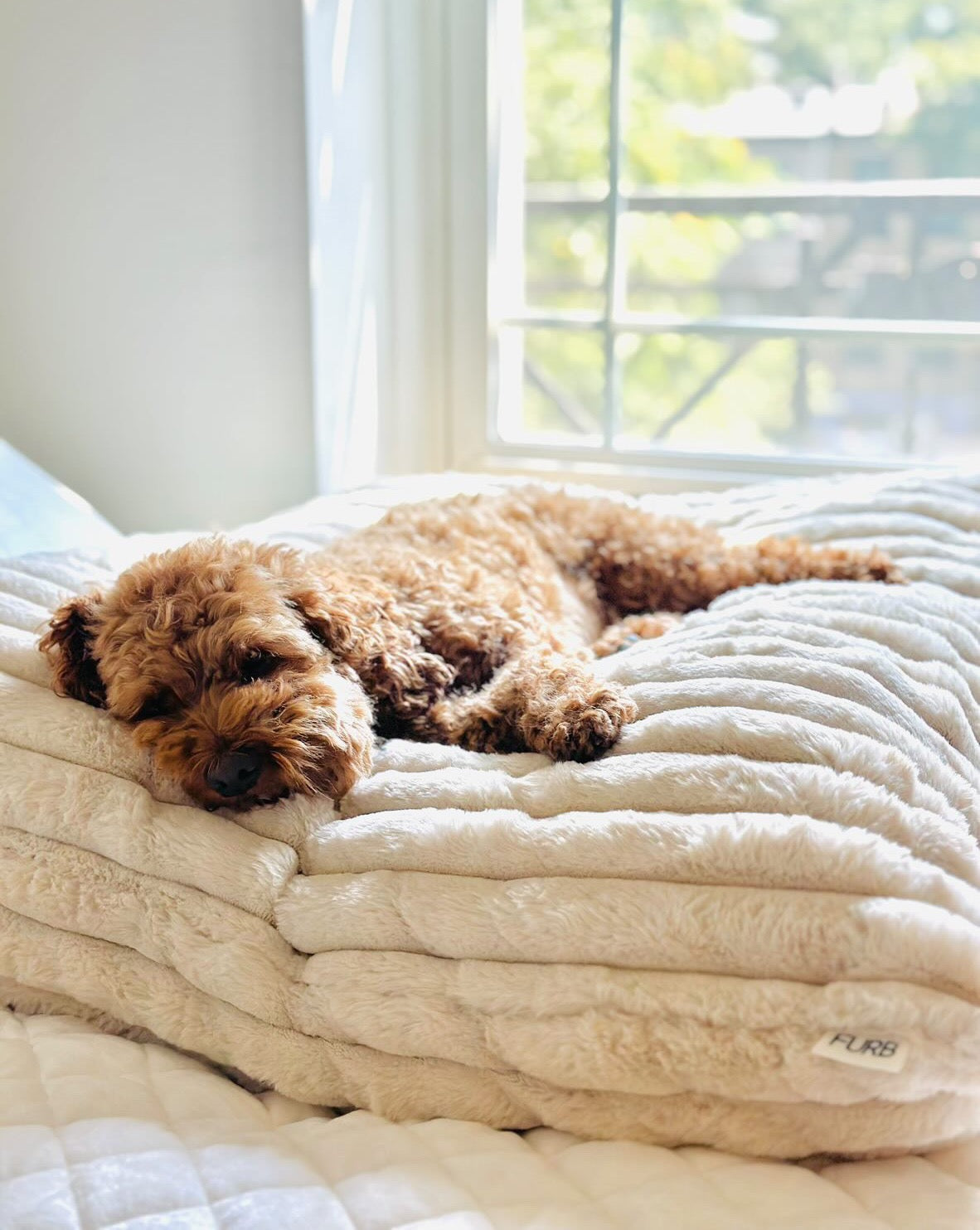 ButterSoft Faux Fur Ivory Dog Bed EcoFriendly Fill FURB
