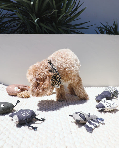 comes with three canvas creatures: a curious owl, a mischievous racoon, and a sleepy porcupine. Each individual toy is filled with crinkle paper, soft fluff, and a little squeaker