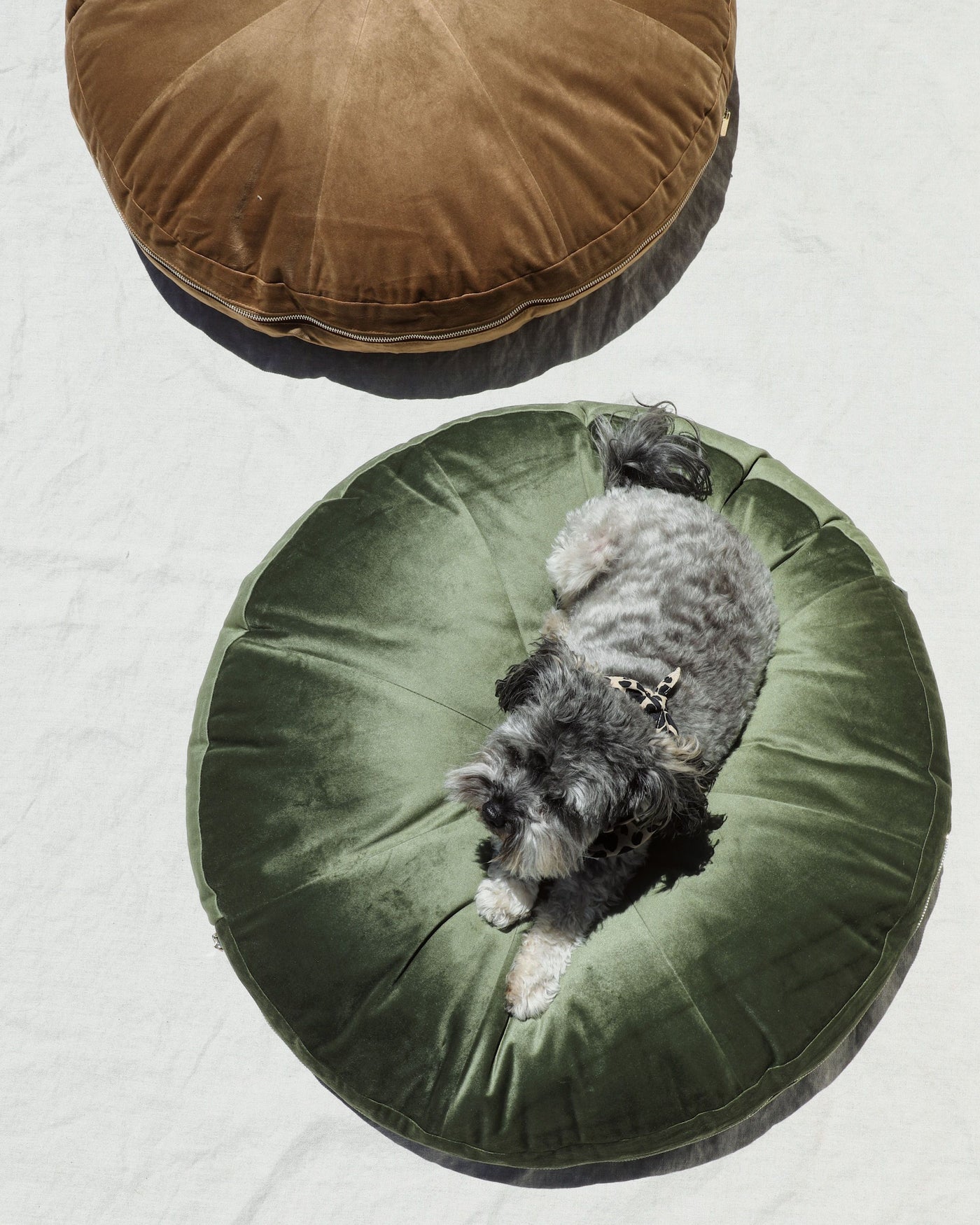 Laurel Moss Round Velvet Dog Bed Product Image