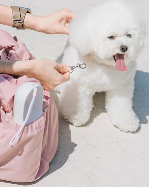 Pink Small Dog Pet Carrier - Comfortable and stylish carrier for your little companion!
