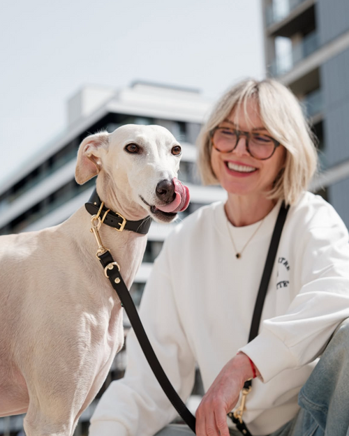Detail shot of Roma black leather dog collar highlighting high-quality craftsmanship