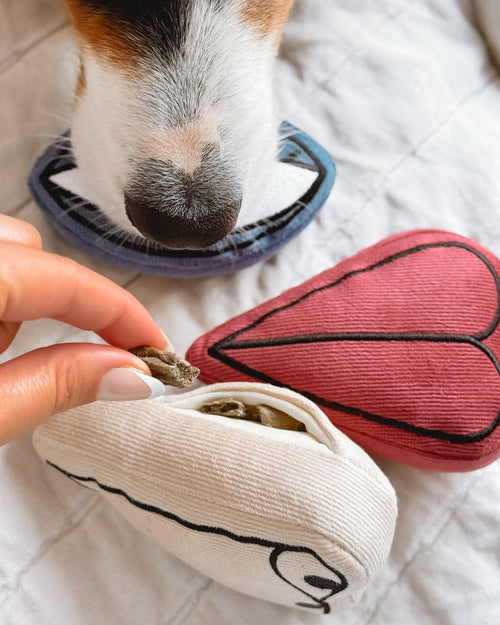 Pup-casso Snuffle Dog Toy Set