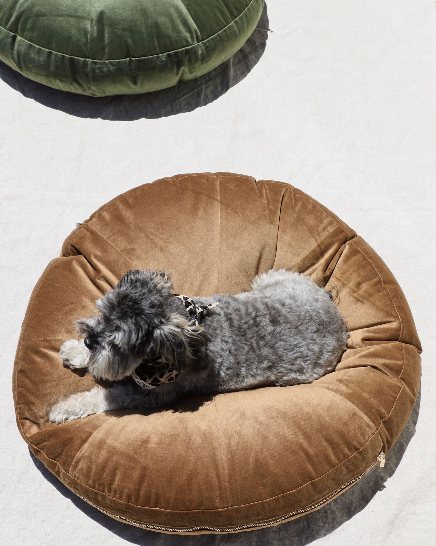 Laurel Nutmeg Round Velvet Dog Bed Product Image Detail