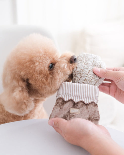 Petit Paws Pastry Duo Dog Toy