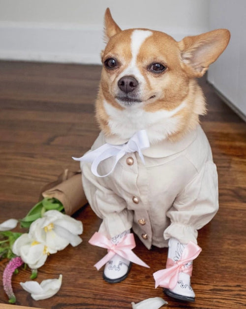 Mon Petit Oatmeal Linen Dog Blouse, ideal for your toy chihuahua with a cute and comfortable fit.