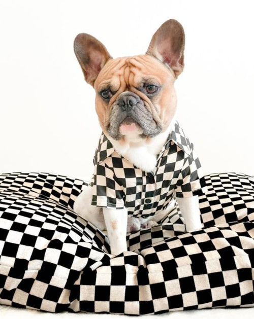 Best in Show Black Checkerboard Bed Product Image Detail