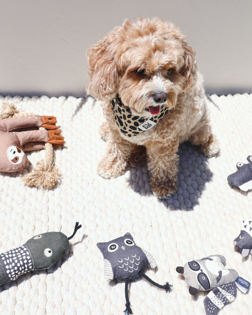 comes with three canvas creatures: a curious owl, a mischievous racoon, and a sleepy porcupine. Each individual toy is filled with crinkle paper, soft fluff, and a little squeaker
