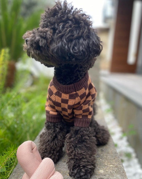 Arlo Brown Check Sweater Product Image Detail. dog sweater for beagles