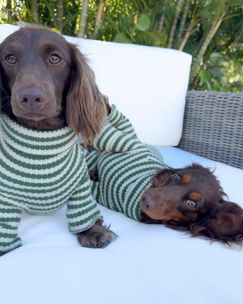 Charli Green + Ivory Dog Onesie
