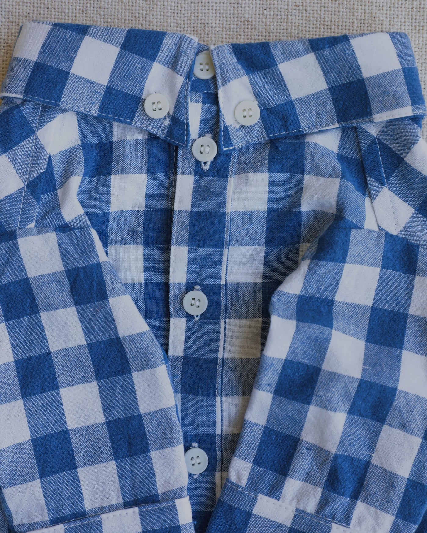Sylvan French Blue Gingham Dog Shirt Close Up