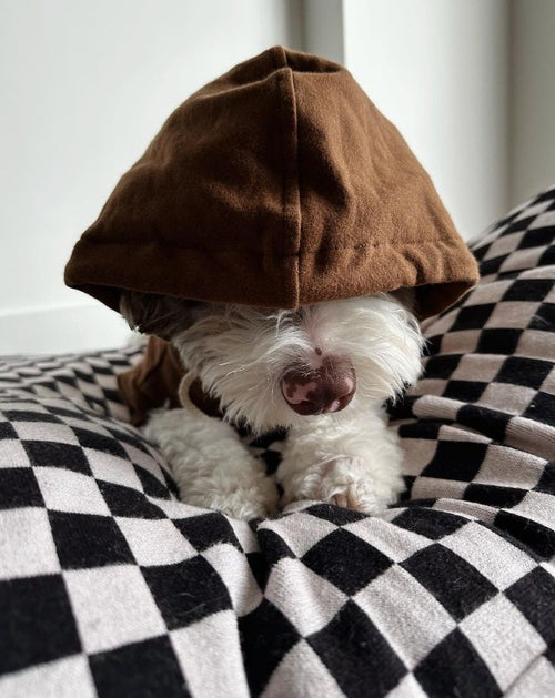 Best in Show Black Checkerboard Bed Product Image Detail