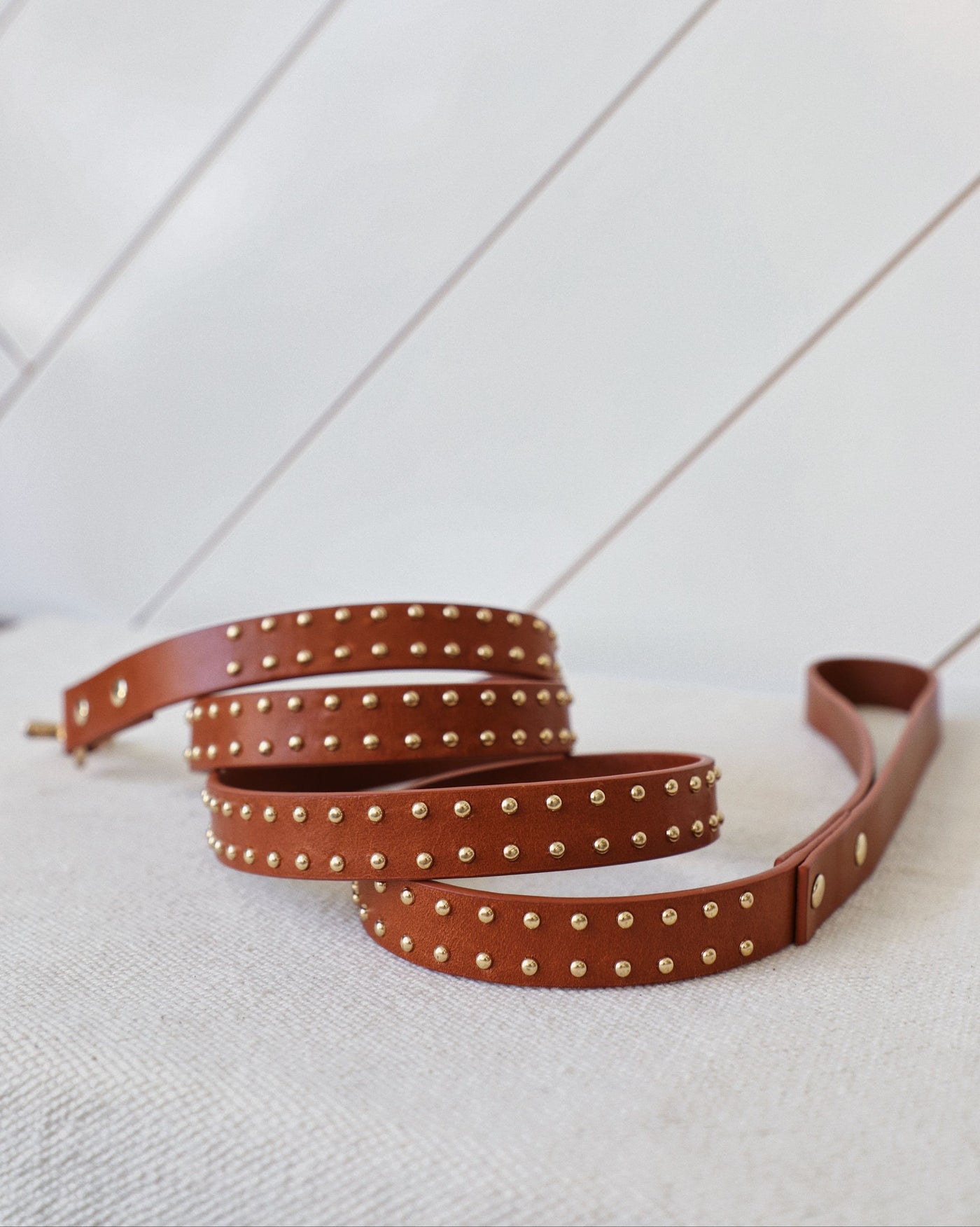 What a Stud Tan Leather Dog Leash
