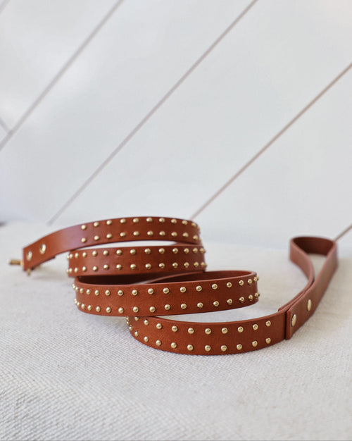 Stylish tan leather dog collar and leash combination, perfect for fashionable pet owners seeking durable walking accessories