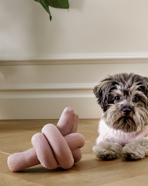 Lola Squeaker Toy in Pink