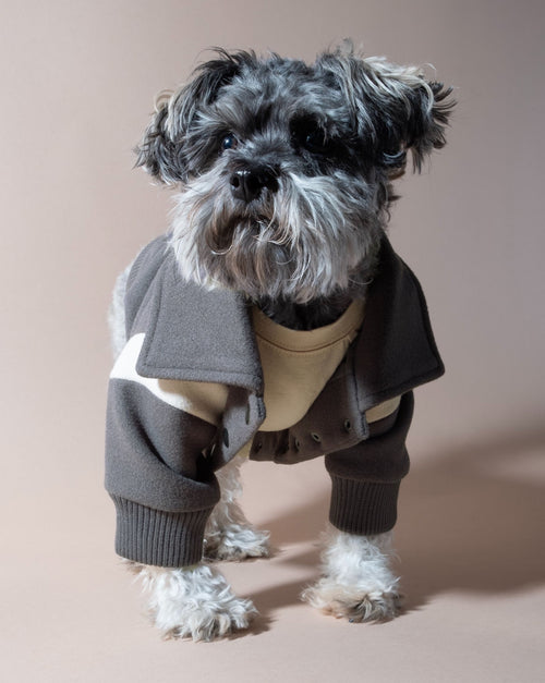 Gray wool jacket. Ideal for chilly days, perfect for Beagle and other small breeds.