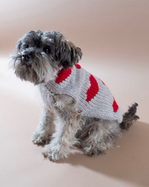 Warm heart sweater for small to medium breeds like Cavalier King Charles Spaniels and Boston Terriers