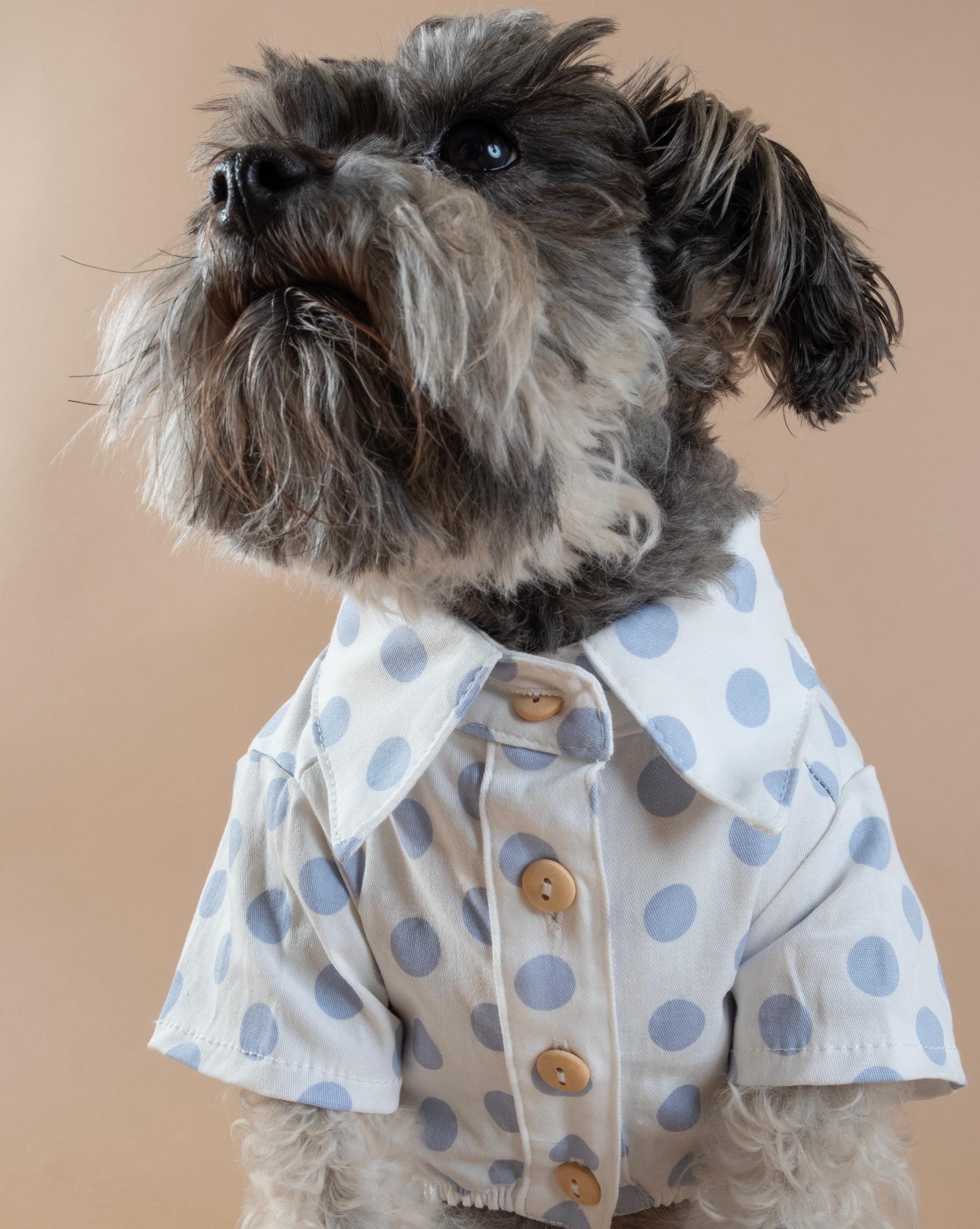 Sparkly Rainbow Fuchsia Dog Shirt