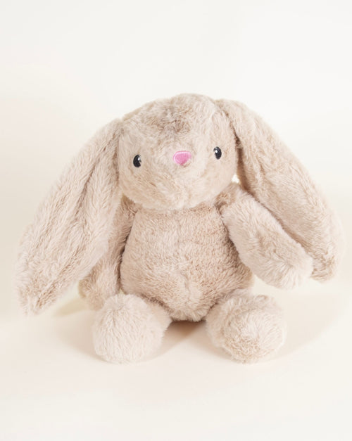 Fuzzy Bunny Dog Toy
