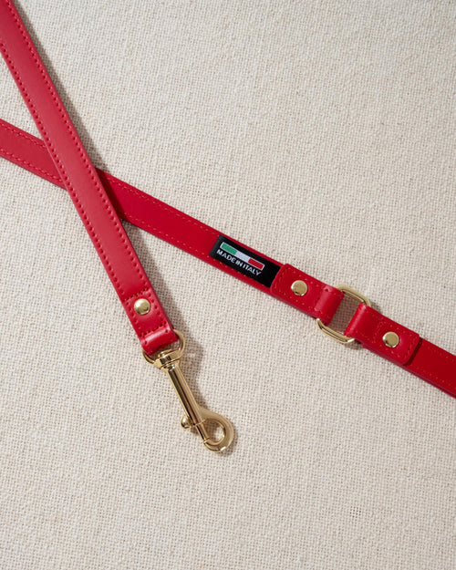 red leather dog leash with gold accents
